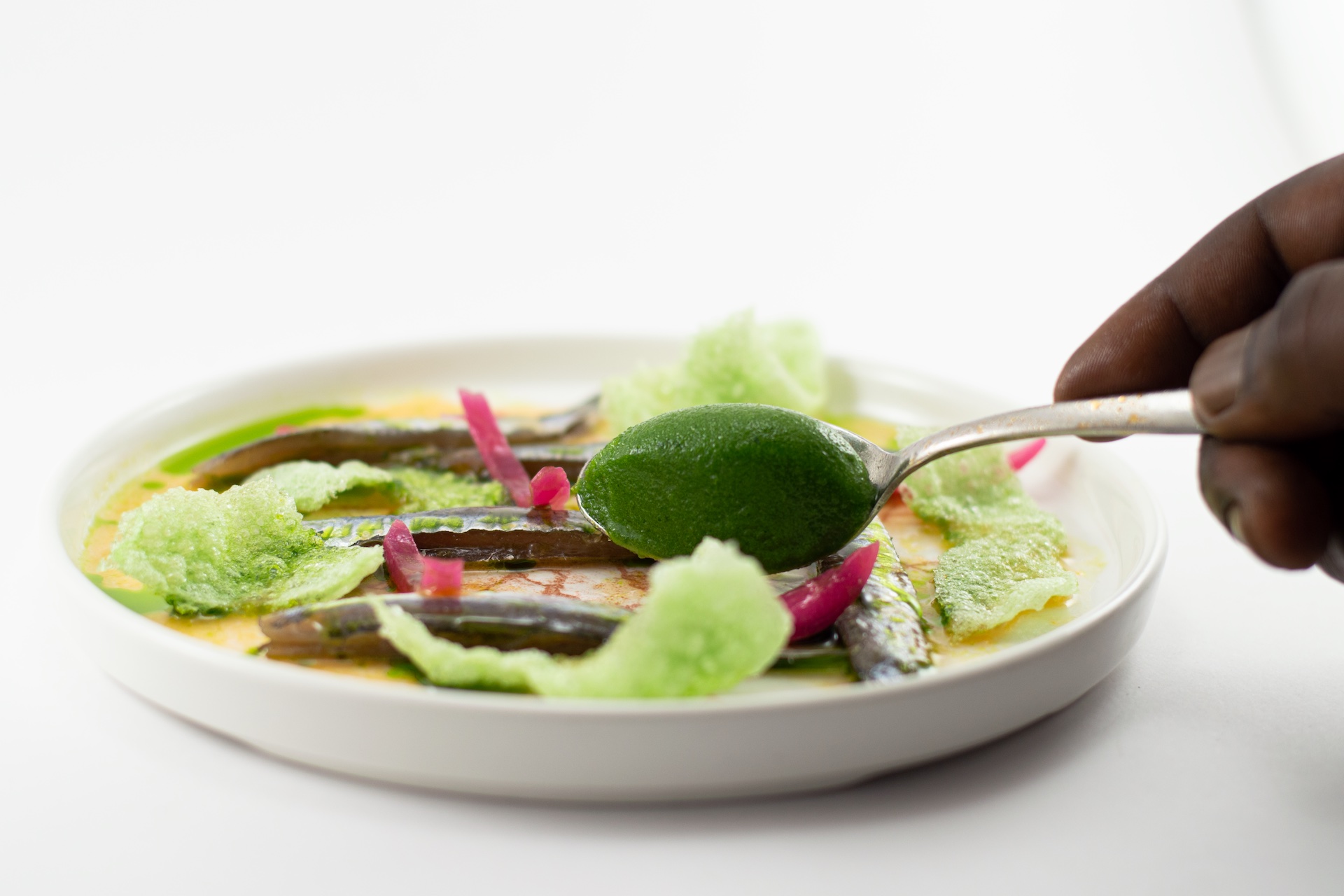 Acciughe marinate al prezzemolo, cipolla rossa in agrodolce, chips di wasabi e sorbetto al prezzemolo - Ristorante SALEGROSSO