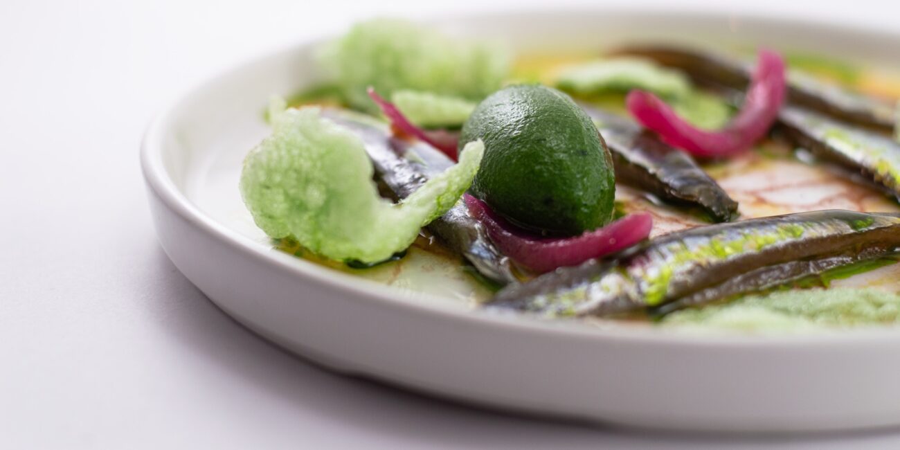 Acciughe marinate al prezzemolo, cipolla rossa in agrodolce, chips di wasabi e sorbetto al prezzemolo - Ristorante SALEGROSSO