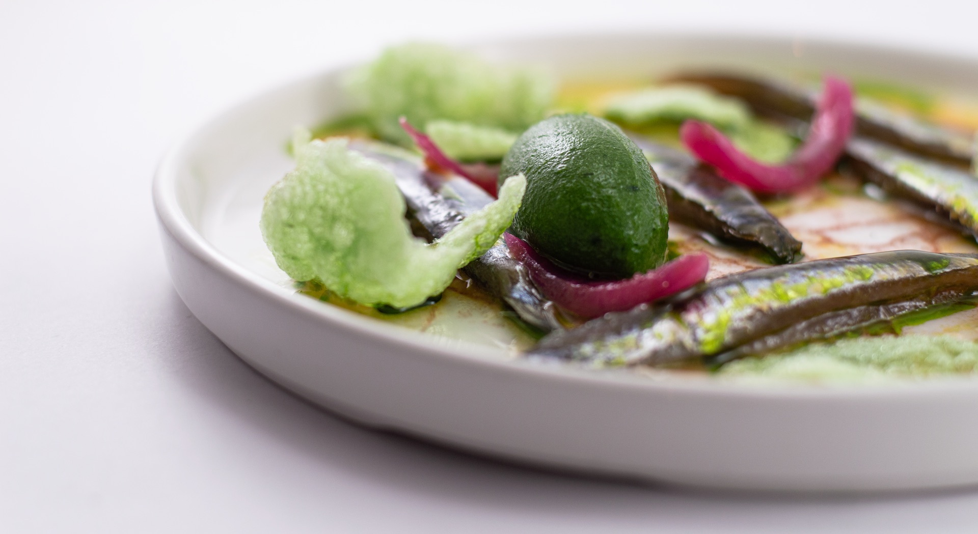 Acciughe marinate al prezzemolo, cipolla rossa in agrodolce, chips di wasabi e sorbetto al prezzemolo - Ristorante SALEGROSSO