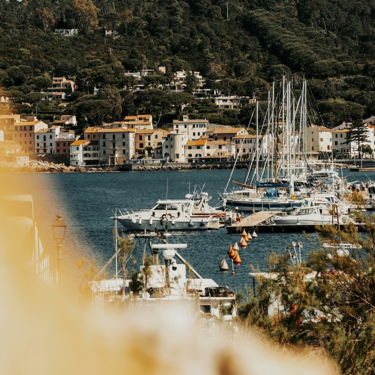 Barche nel porto turistico di Marciana Marina all’Isola d’Elba